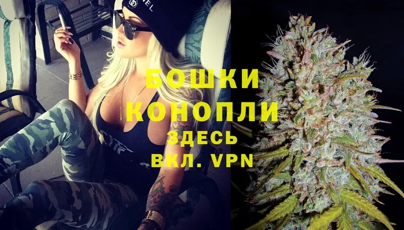 Шишки марихуана White Widow  Новотроицк 